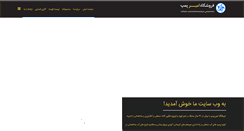 Desktop Screenshot of amirpump.com